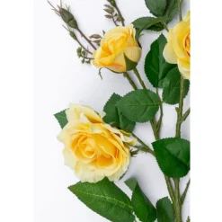 Wildrose | Gelb | 75cm