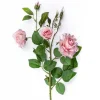 Wildrose | Rosa | 75cm
