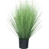 Ziergras im schwarzen Topf | 60 cm