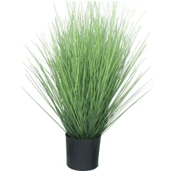 Ziergras im schwarzen Topf | 60 cm