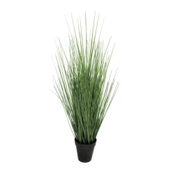 Ziergras im schwarzen Topf | 50 cm