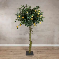 Zitronenbaum | 180cm