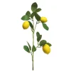 Zitronenzweig | 75cm