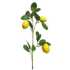 Zitronenzweig | 75cm